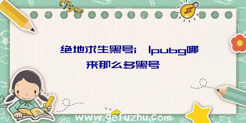 「绝地求生黑号i」|pubg哪来那么多黑号